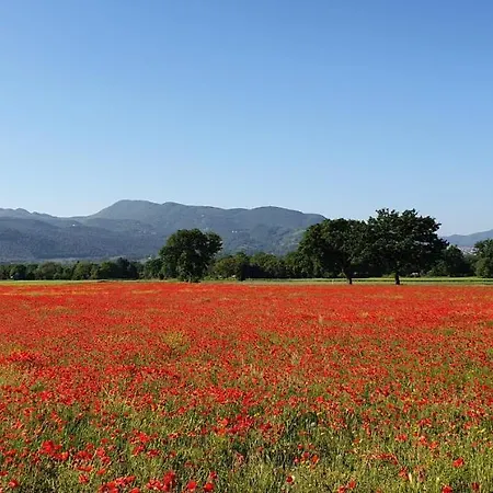 Διαμέρισμα La Casa Sul Colle