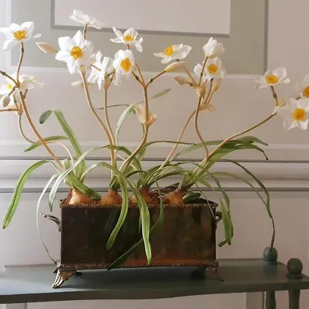 La Casa Sul Colle Διαμέρισμα *